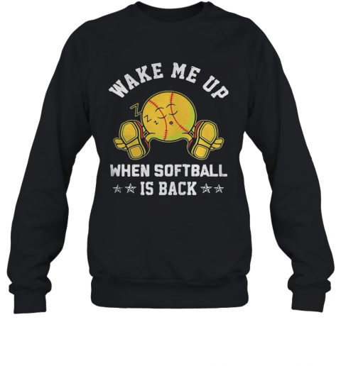 Wake Me Up When Softball Is Back Baseball Sleep T-Shirt Unisex Sweatshirt