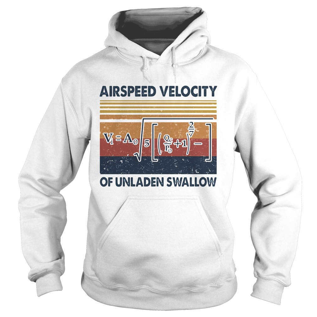 Airspeed velocity of unladen swallow vintage Hoodie