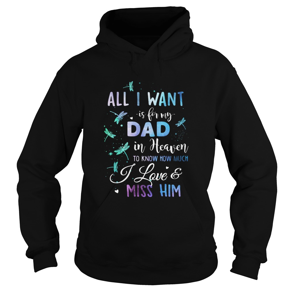 All I Want Is Being Dad In Heaven To Know How Much I Love Miss Him Hoodie