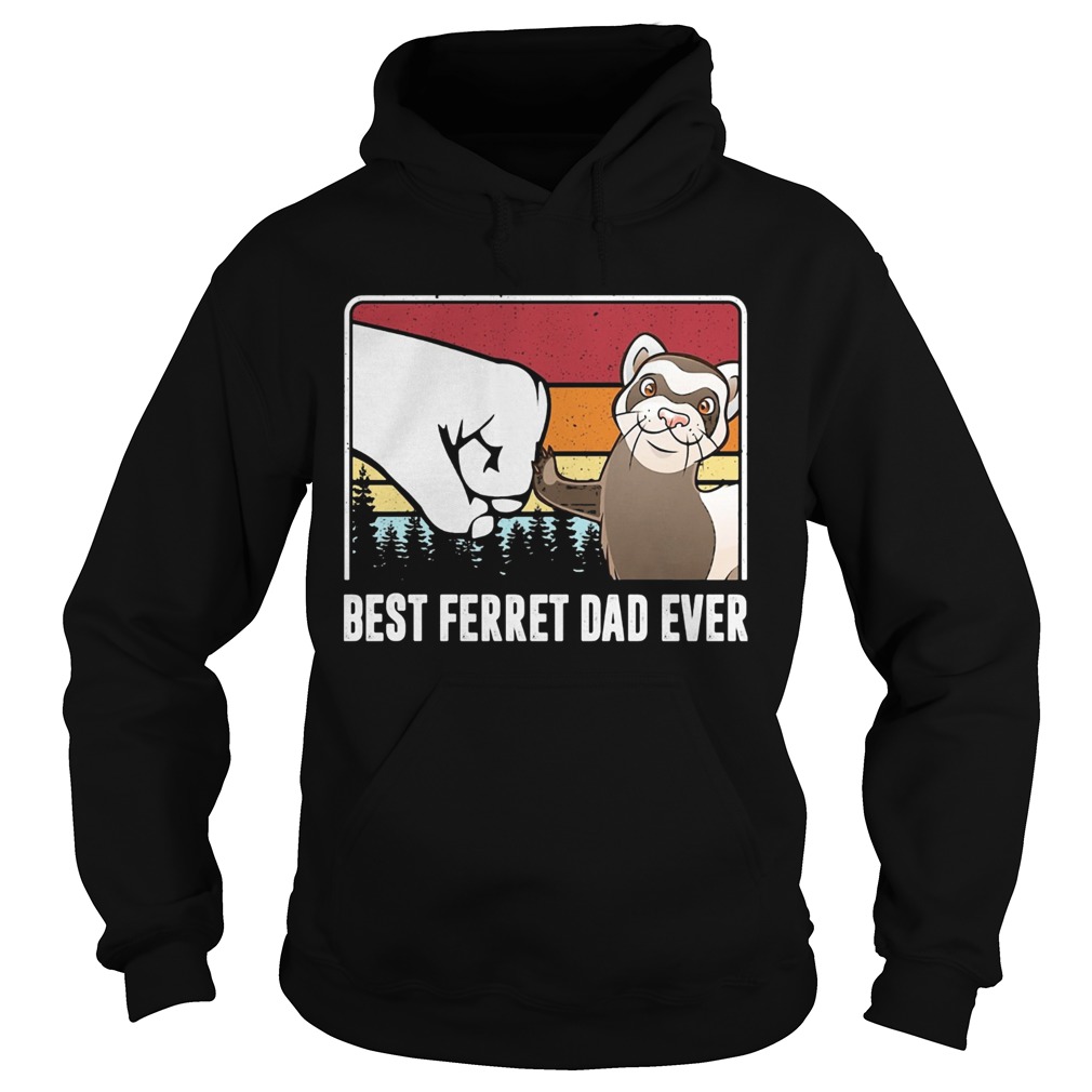 Best ferret dad ever happy fathers day vintage Hoodie