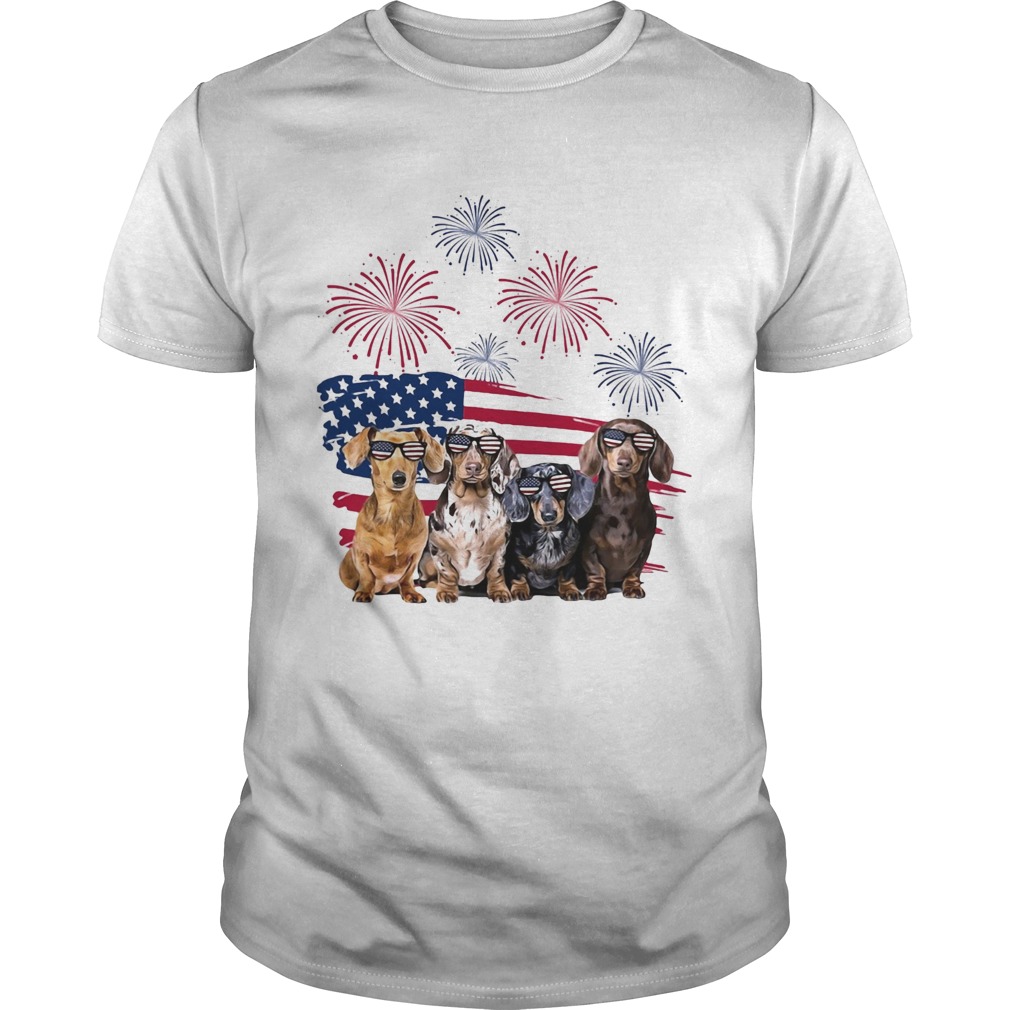 Dachshunds firework american flag independence day shirt