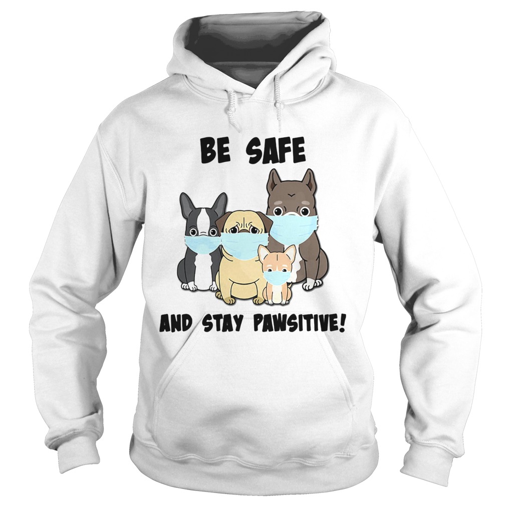 Dog Mask Be Safe And Stay Pawsitive Hoodie