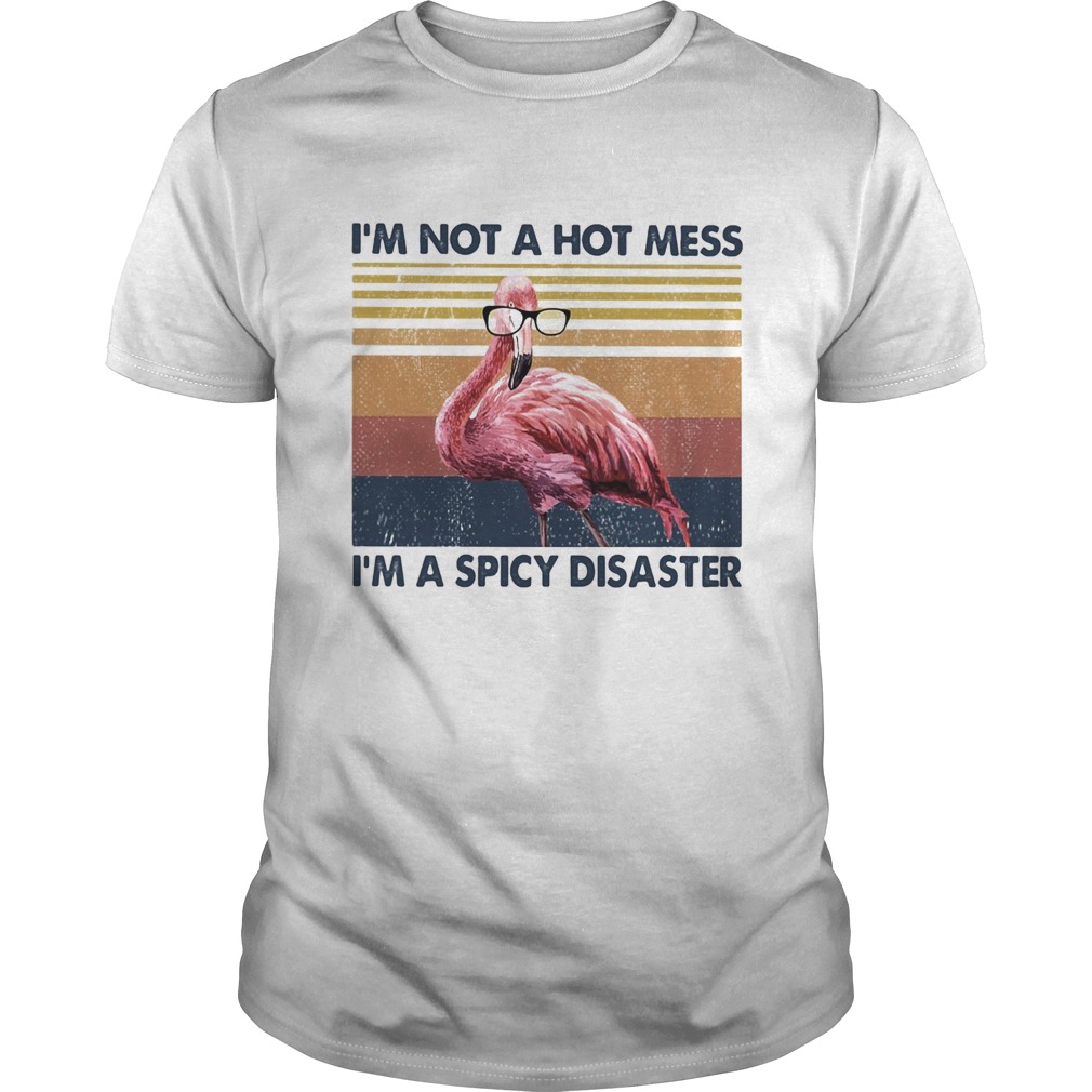 Flamingo Im not a hot mess Im a spicy disaster vintage shirt