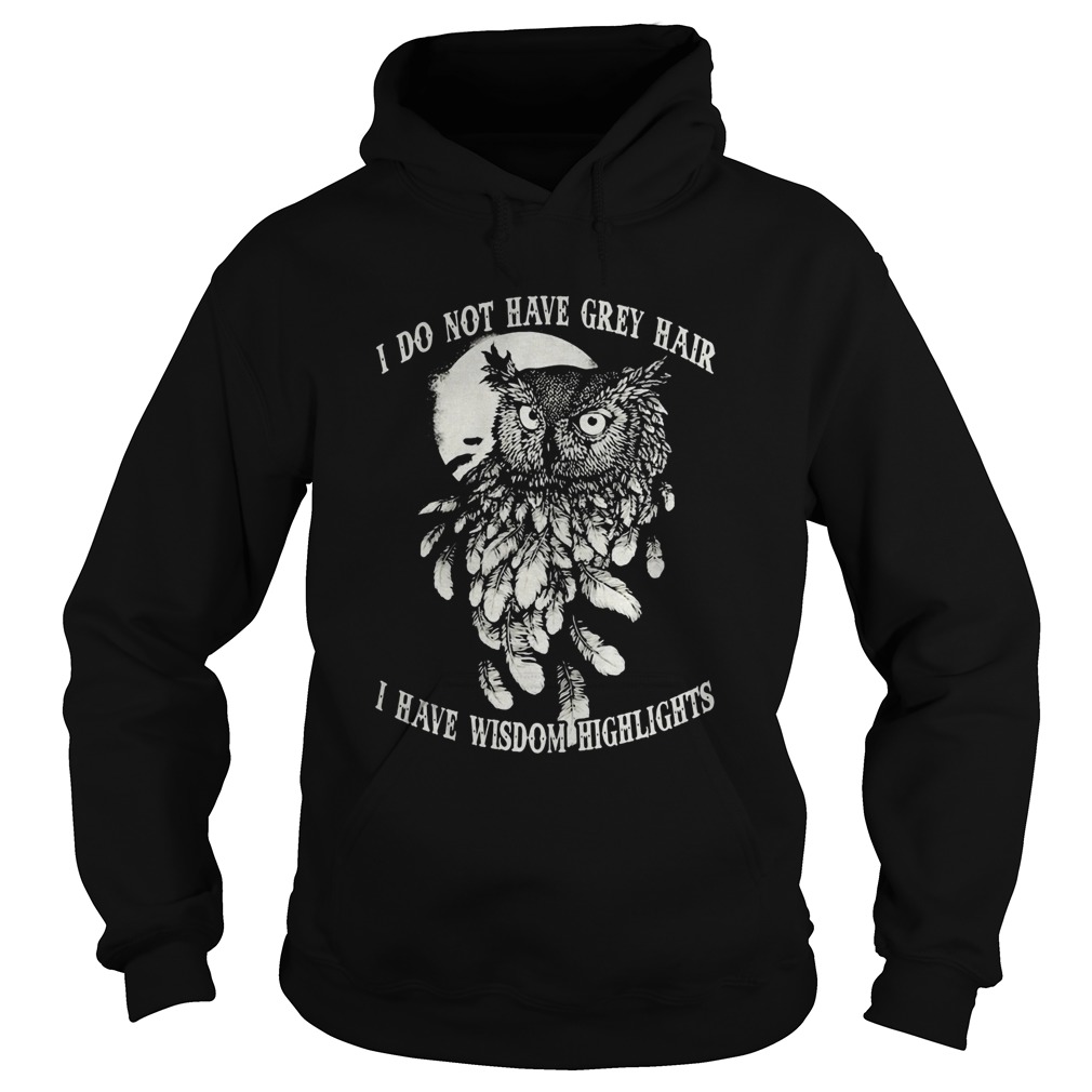 Hot Owl I do not have grey hair I have wisdom highlights Hoodie