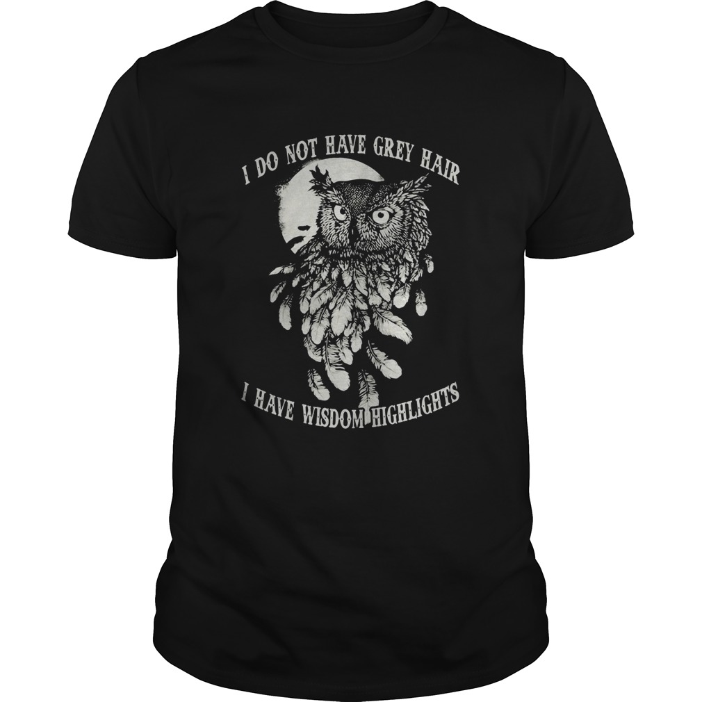 Hot Owl I do not have grey hair I have wisdom highlights shirt
