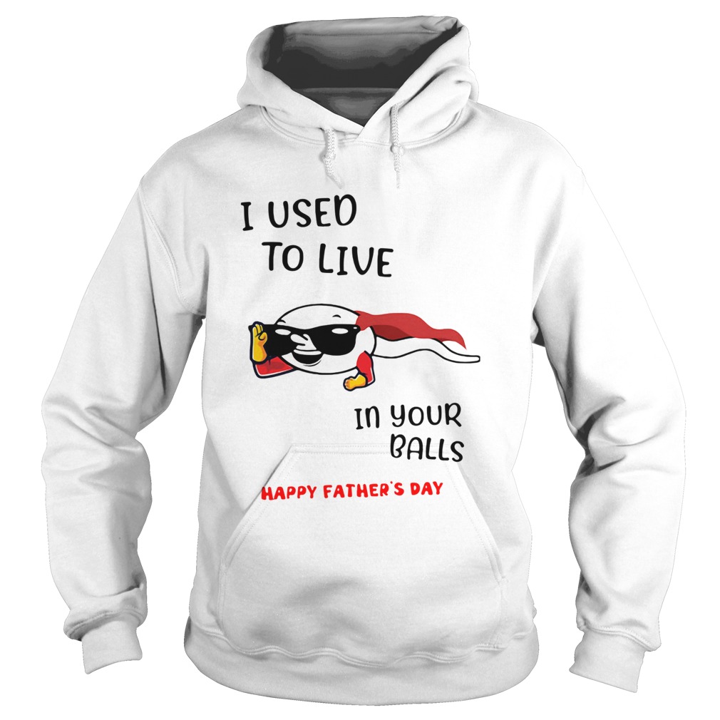 I Used To Live In Your Balls Happy Fathers Day Hoodie