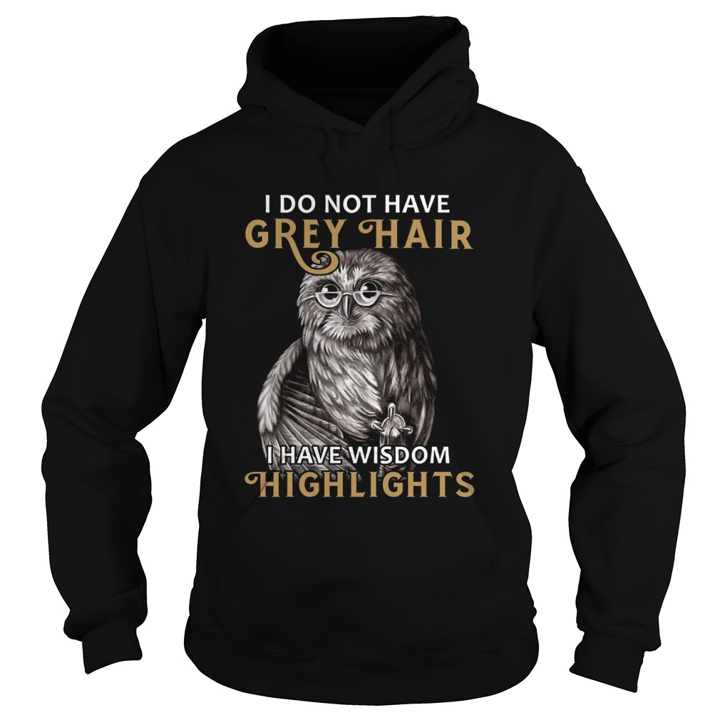 I do not have grey hair I have wisdom highlights Hoodie