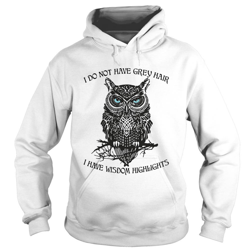 I do not have grey hair I have wisdom highlights Owl Hoodie