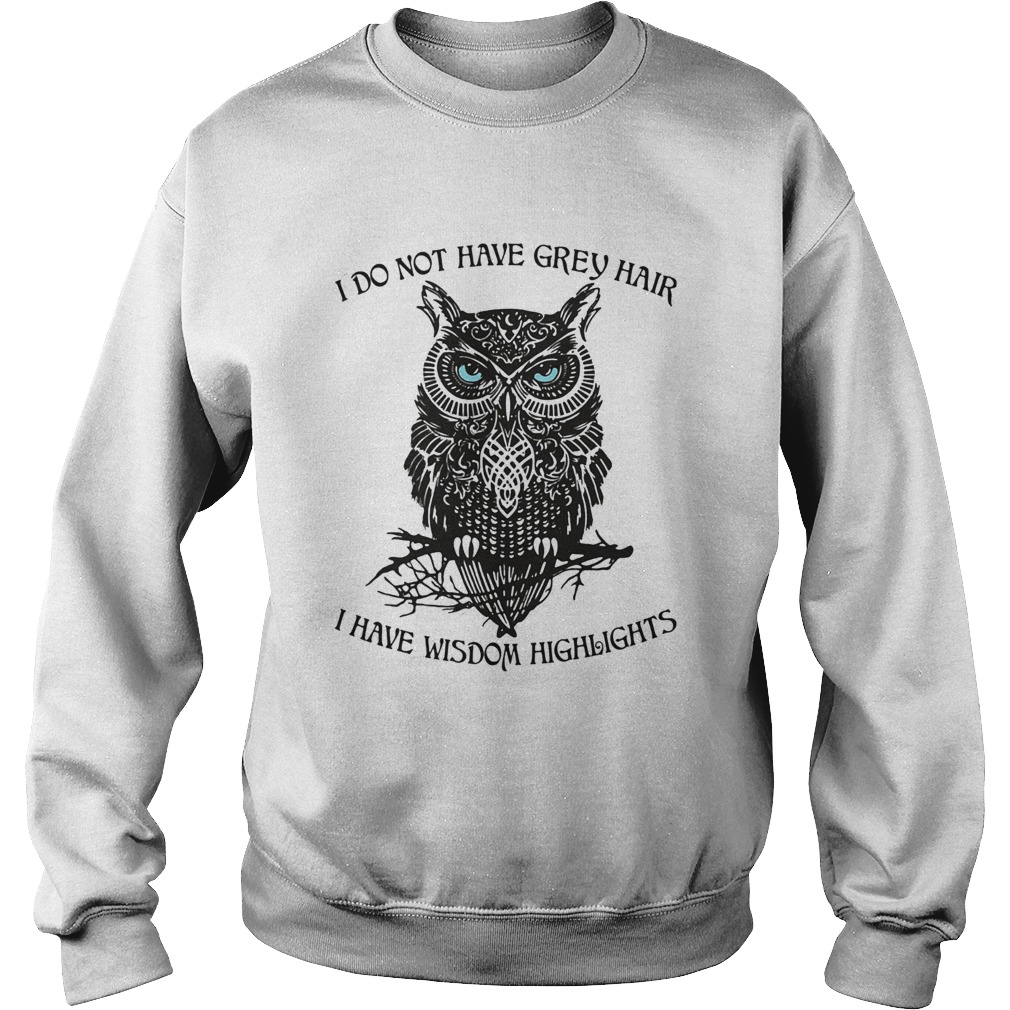 I do not have grey hair I have wisdom highlights Owl Sweatshirt