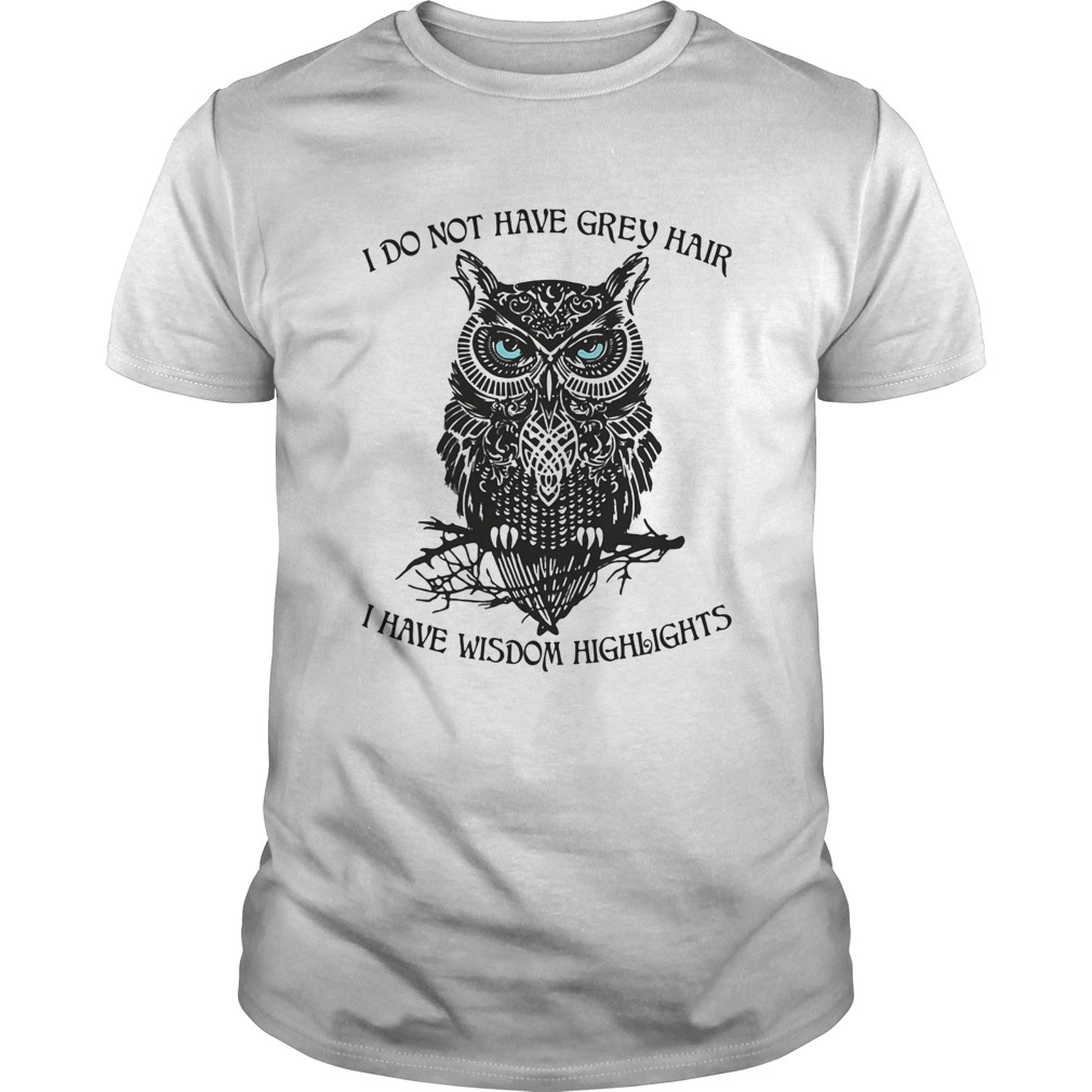I do not have grey hair I have wisdom highlights Owl shirt