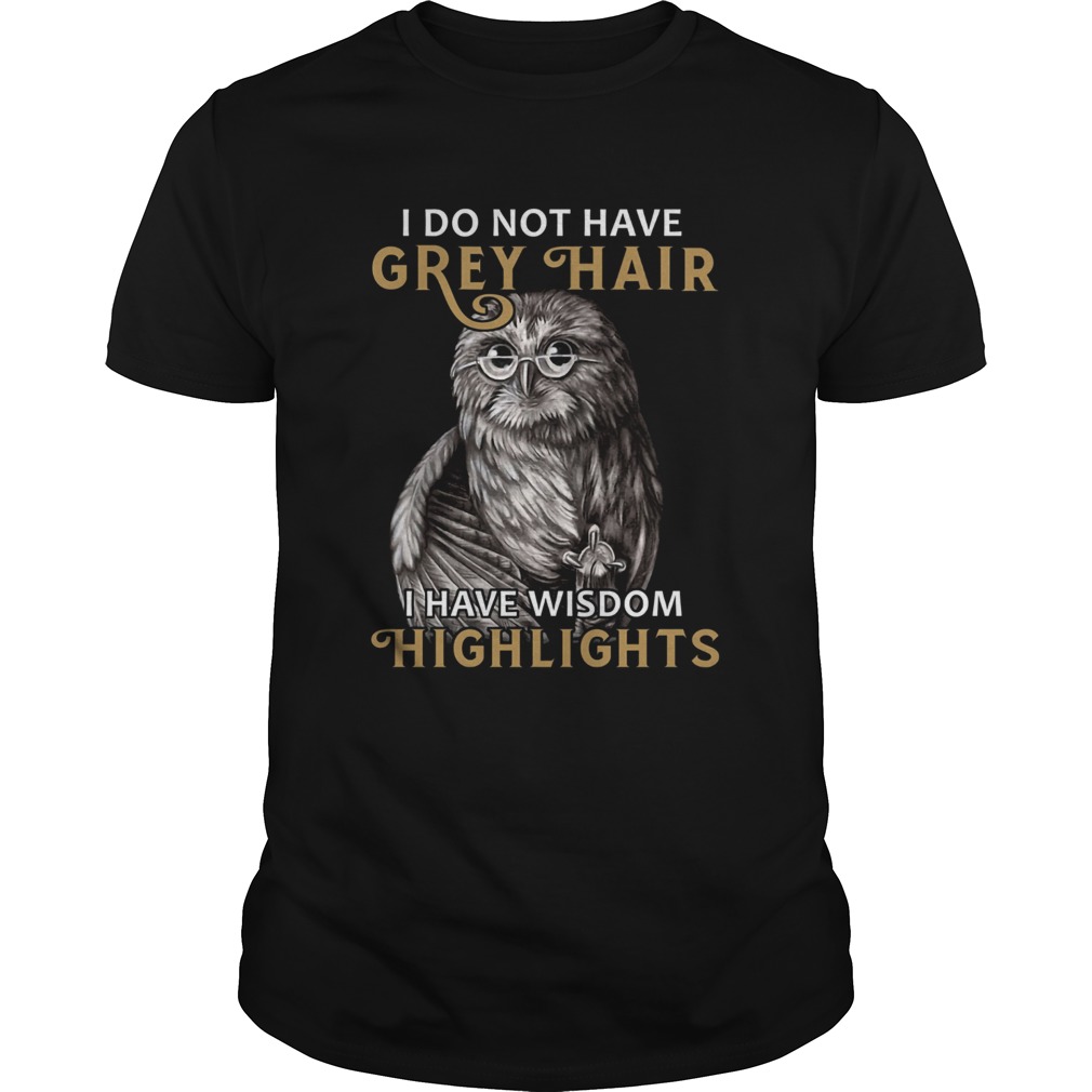 I do not have grey hair I have wisdom highlights shirt