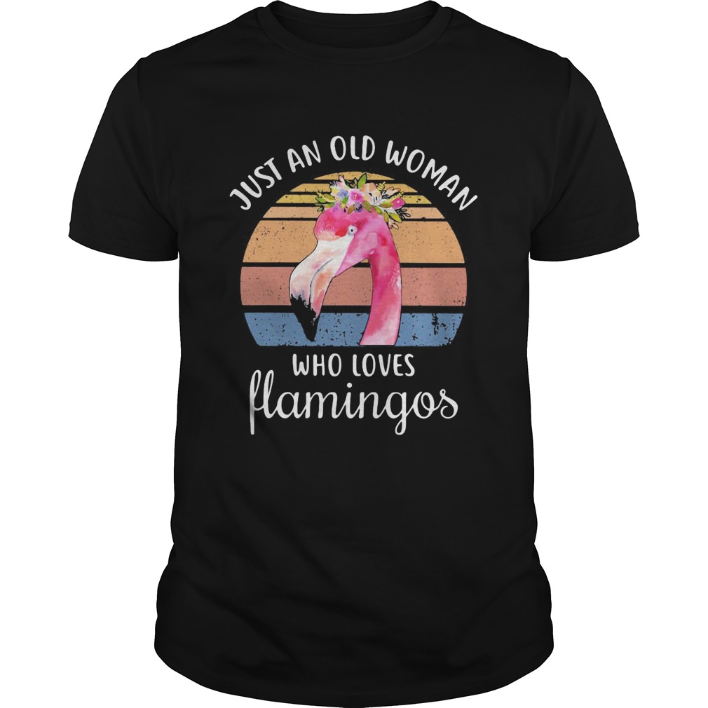 Just an old woman who loves Flamingos flower vintage shirt