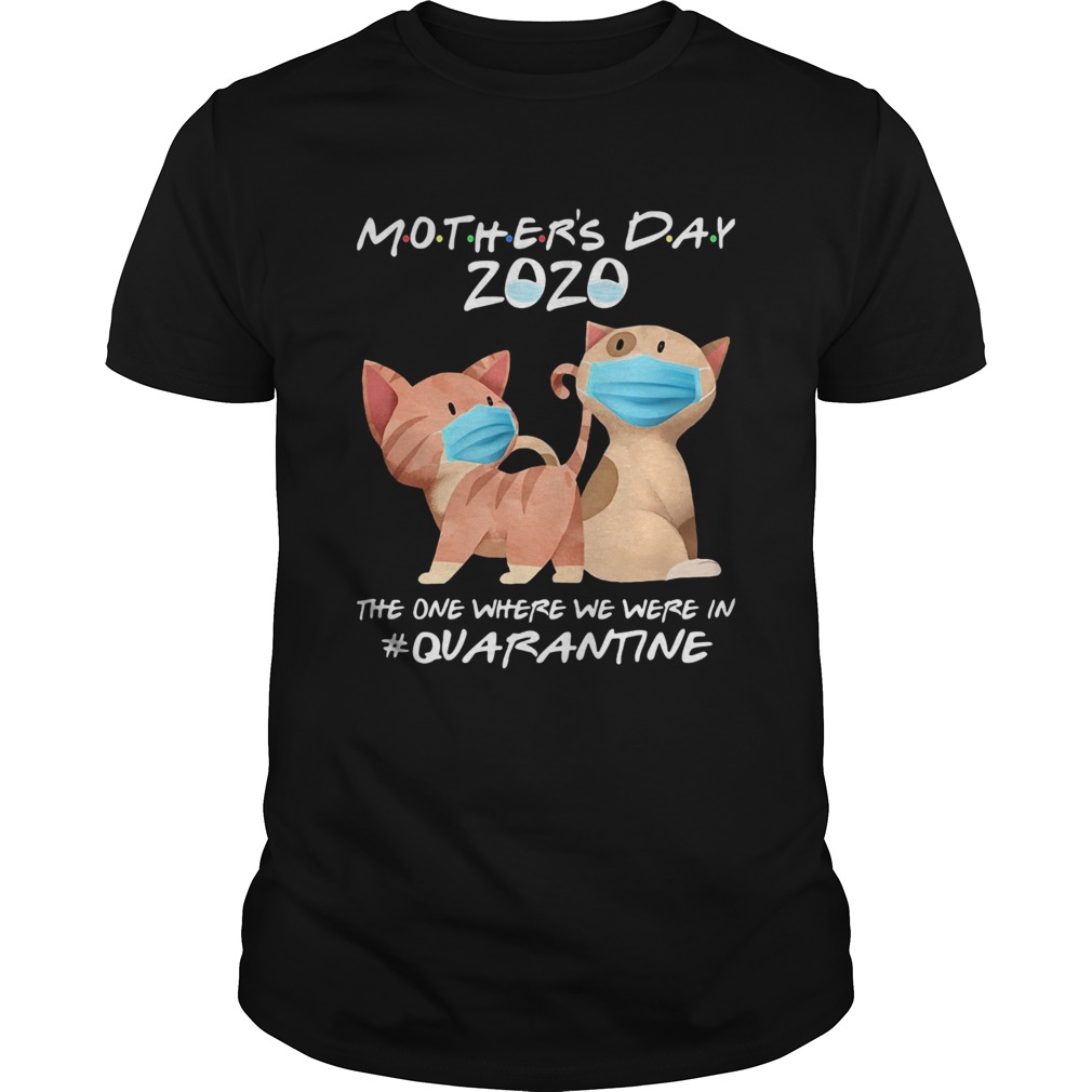 Mothers day 2020 the one where we were in quarantine Cat mask shirt