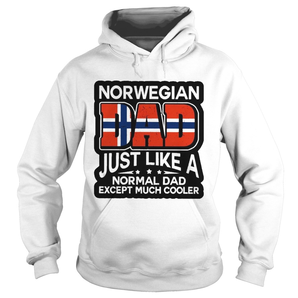 Norwegian Dad Just Like A Normal Dad Except Much Cooler Hoodie