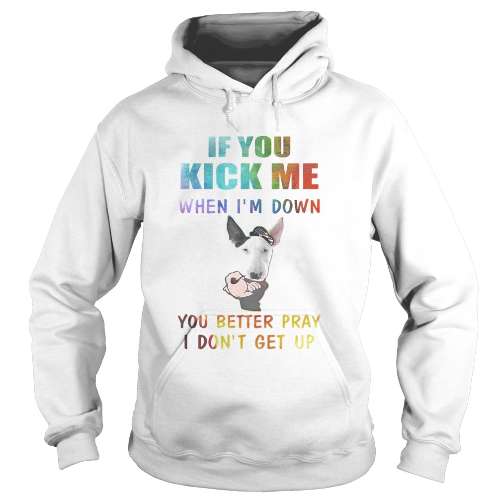 Strong Bull Terrier if you kick me when Im down you better pray I dont get up Hoodie