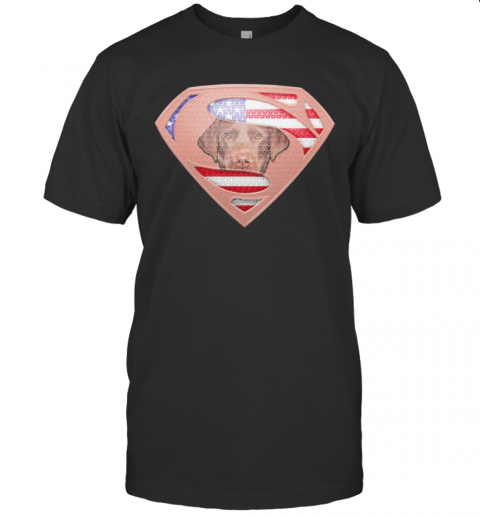 Superman Labrador Retriever American Flag Independence Day T-Shirt