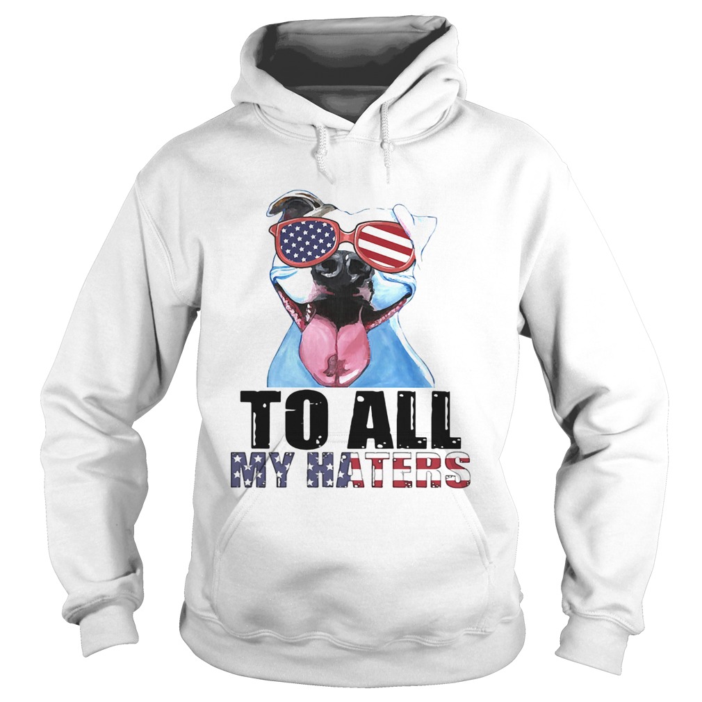 To all my haters pitbull American flag veteran Independence Day Hoodie