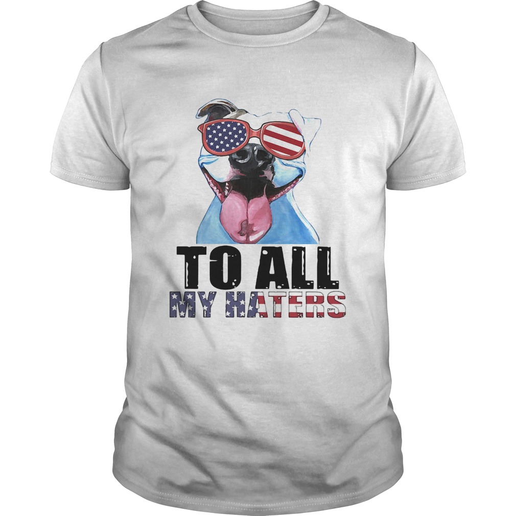 To all my haters pitbull American flag veteran Independence Day shirt