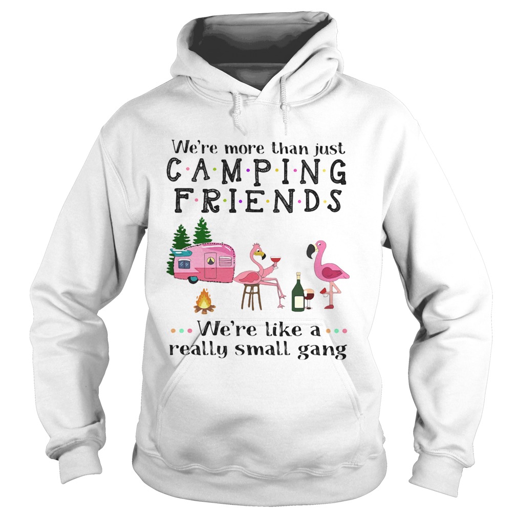 Were more than just camping friends were like a really small gang Flamingo Hoodie