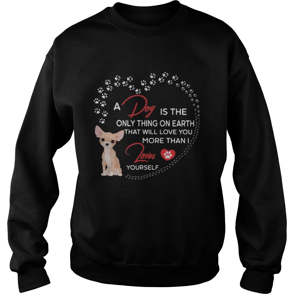 A dog is the only thing on earth that will love you more than I loves chihuahua Sweatshirt