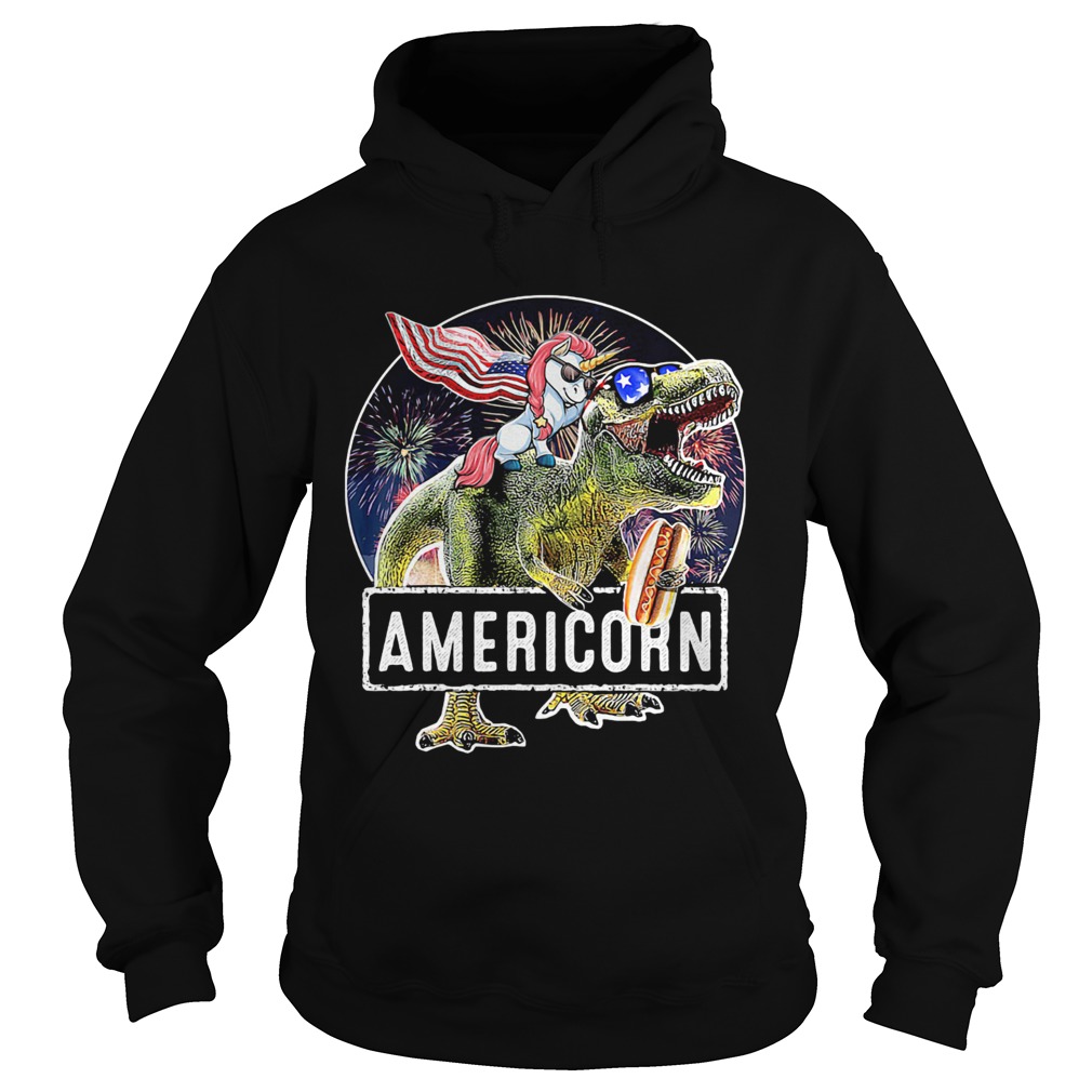 Americorn Unicorn Dinosaurs Sandwich American Flag Independence Day Hoodie