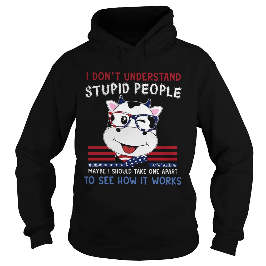 Dragon I Dont Understand Stupid People Maybe I Should Take One Apart To See How It Works Hoodie