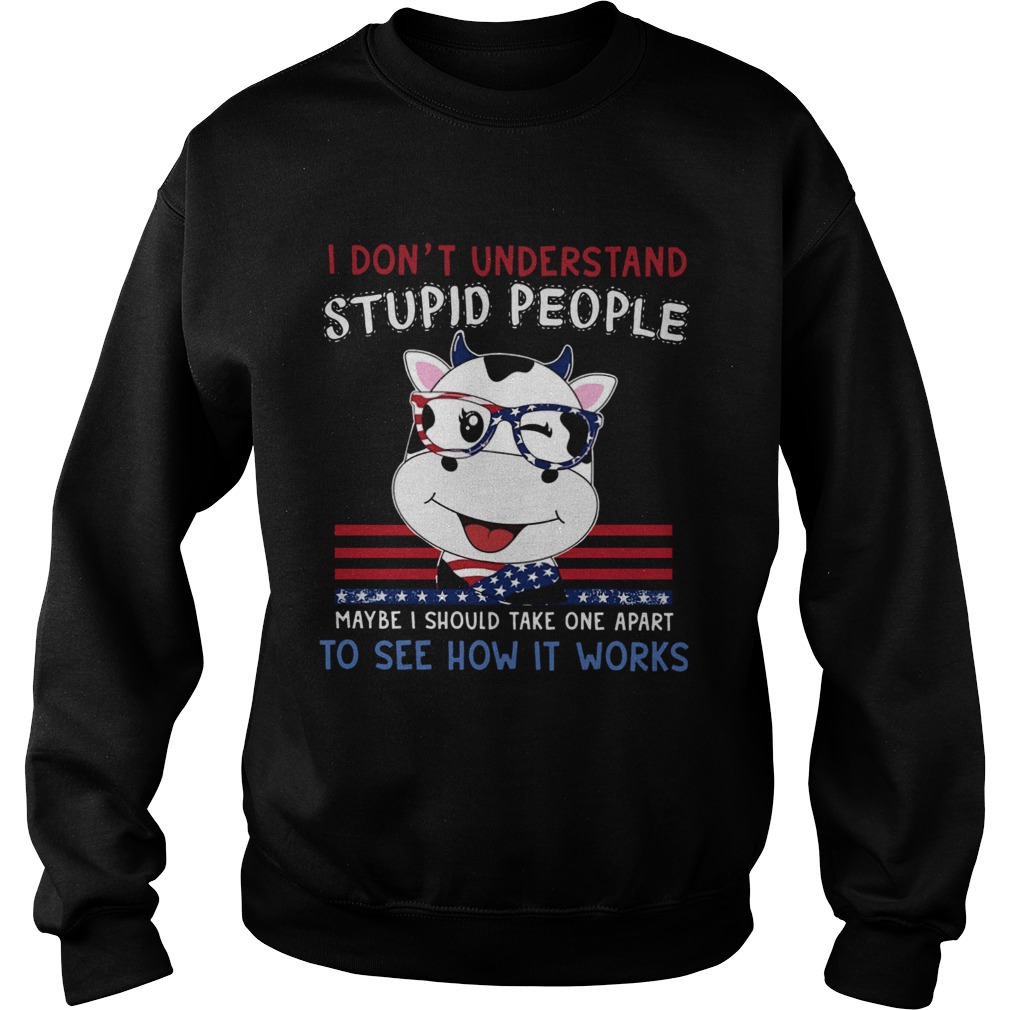 Dragon I Dont Understand Stupid People Maybe I Should Take One Apart To See How It Works Sweatshirt