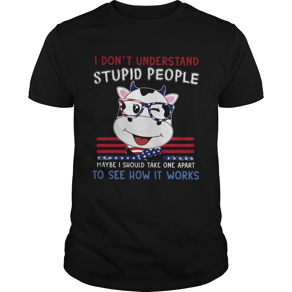 Dragon I Dont Understand Stupid People Maybe I Should Take One Apart To See How It Works shirt