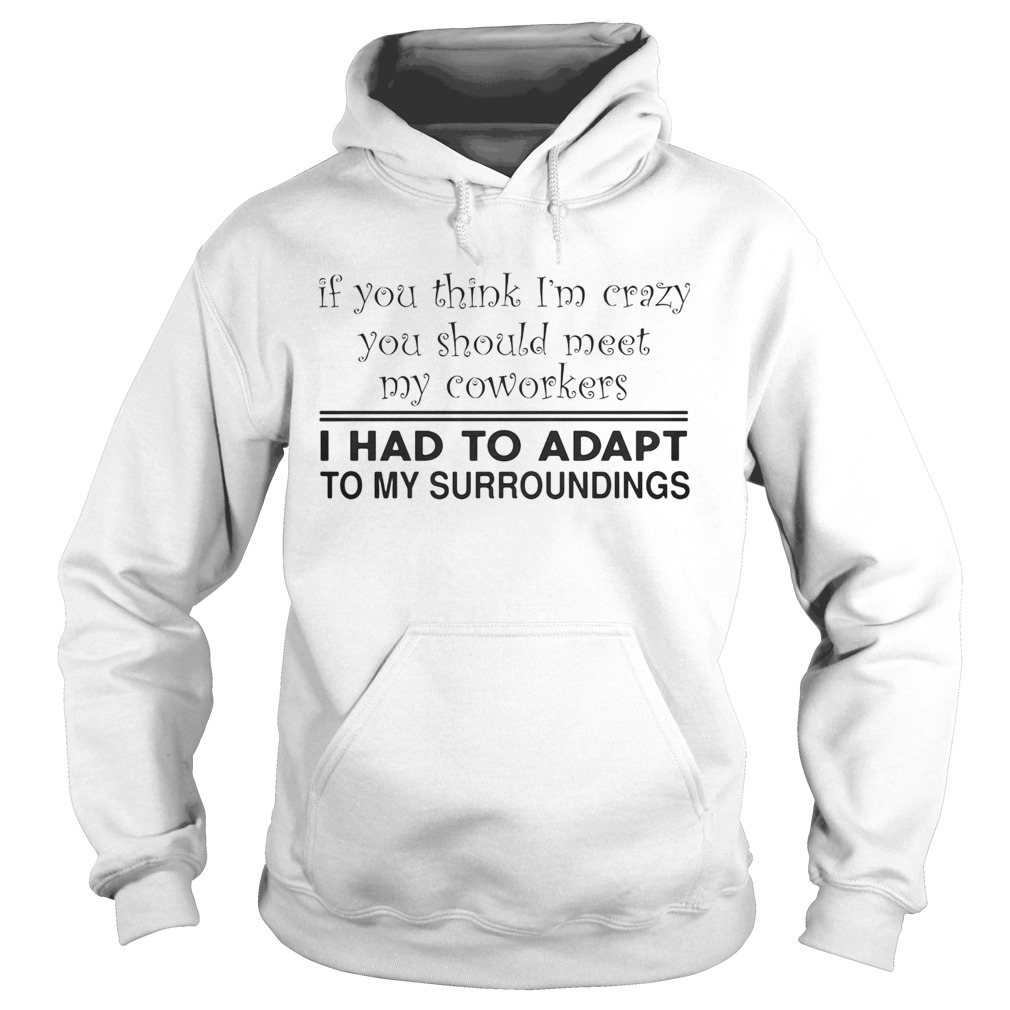 If you think Im crazy you should meet my coworkers I had to adapt Hoodie