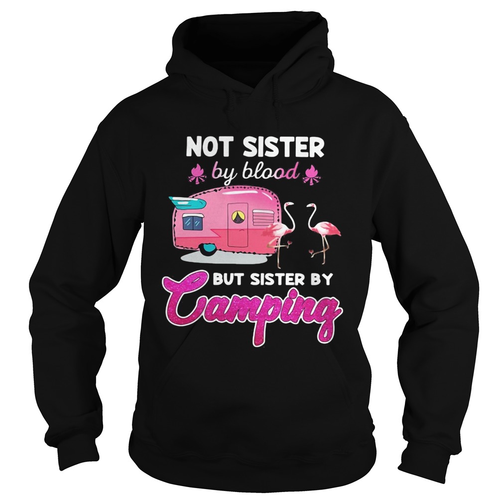 Not sister by blood but sister by camping flamingo Hoodie