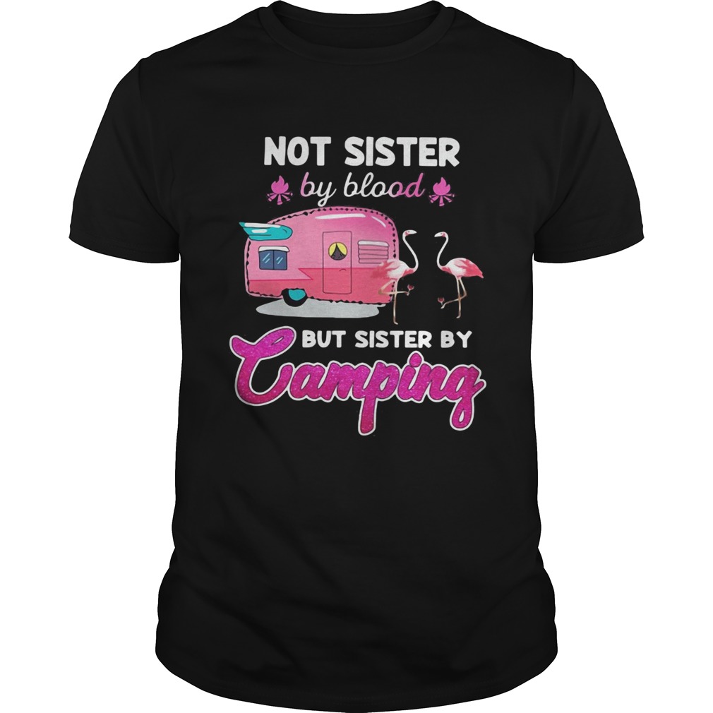 Not sister by blood but sister by camping flamingo shirt