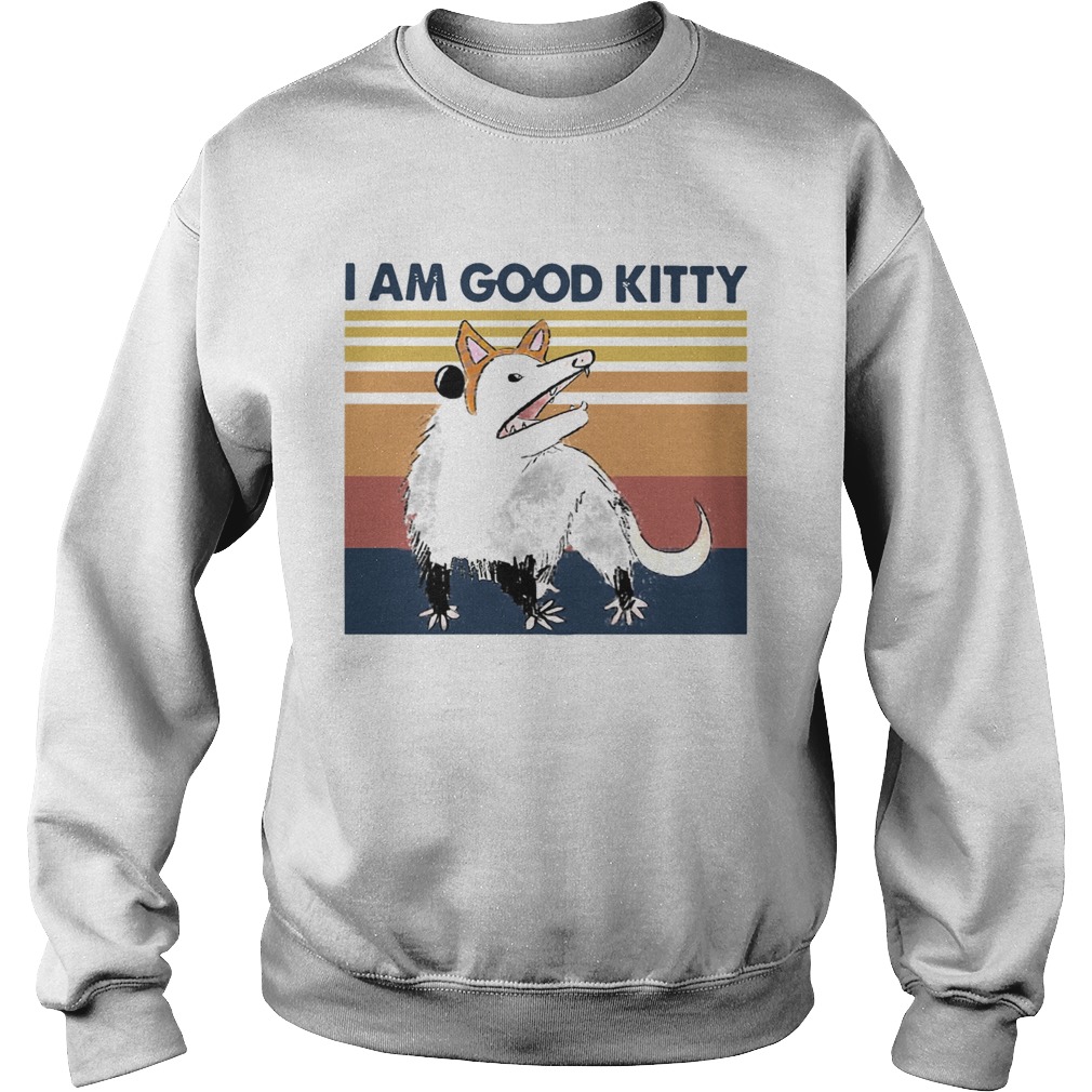 Opossum I Am Good Kitty Vintage Sweatshirt