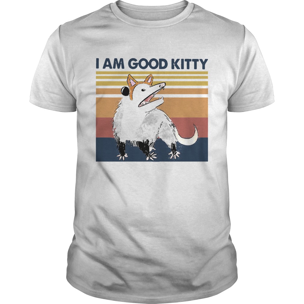 Opossum I Am Good Kitty Vintage shirt