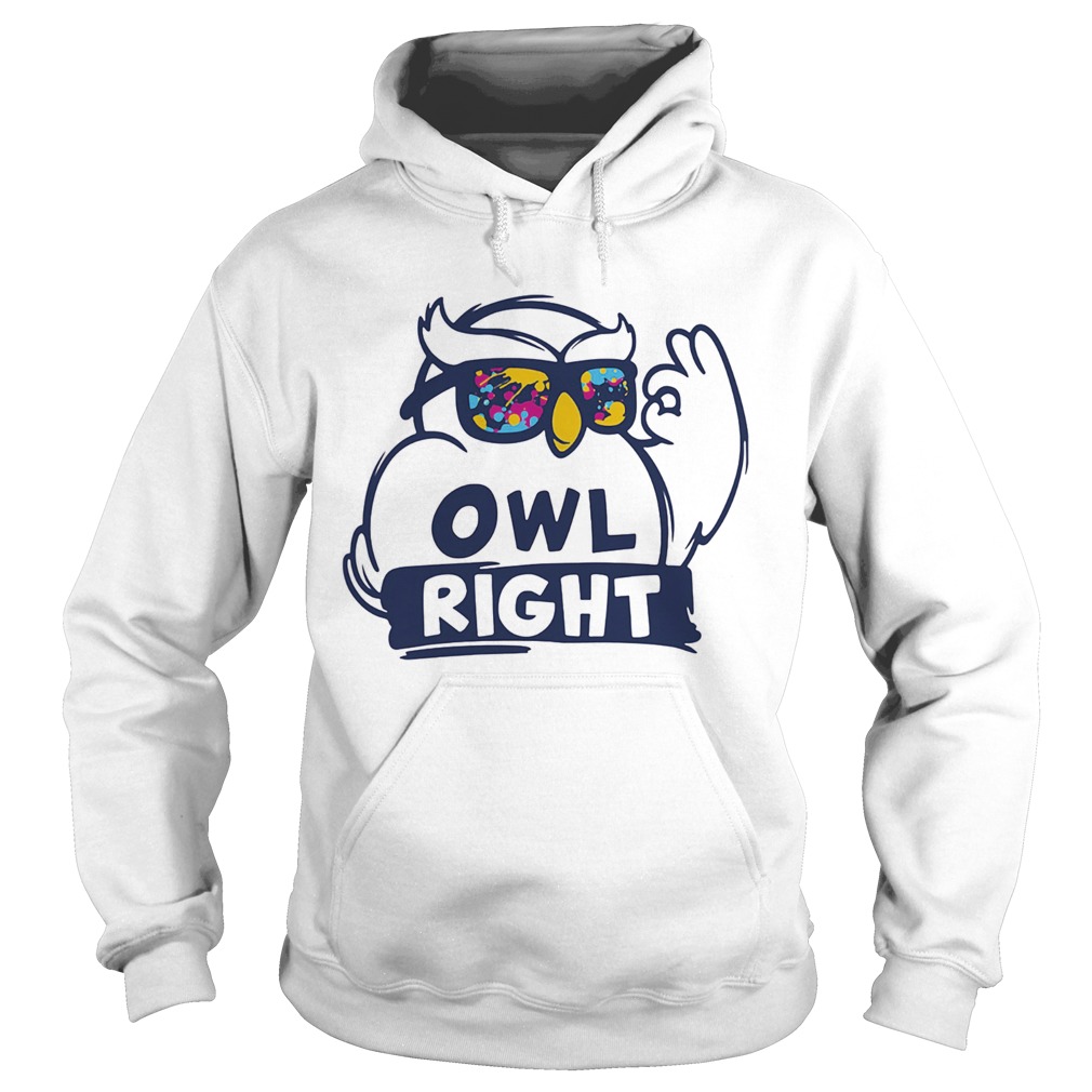 Owl right colors water Hoodie
