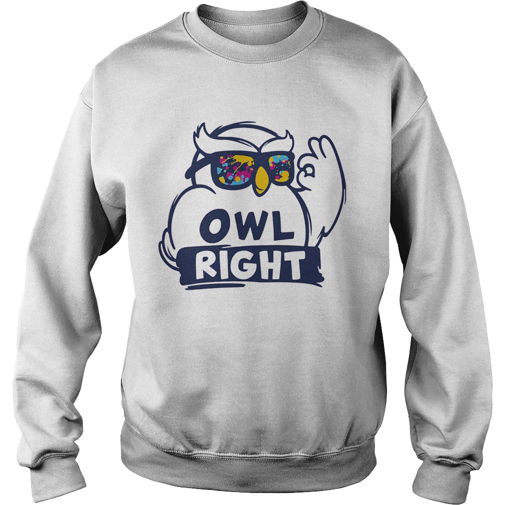 Owl right colors water Sweatshirt