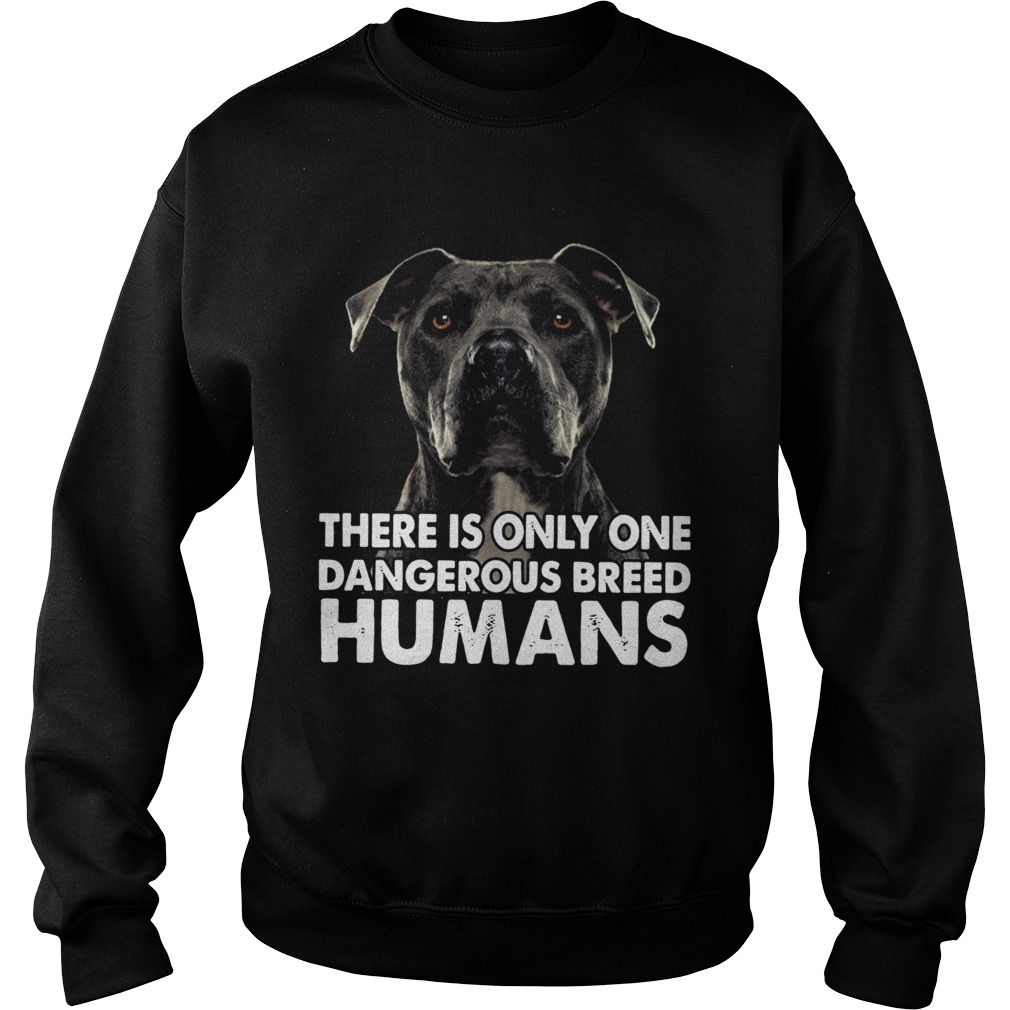 Pitbull There Is Only One Dangerous Breed Humans Sweatshirt