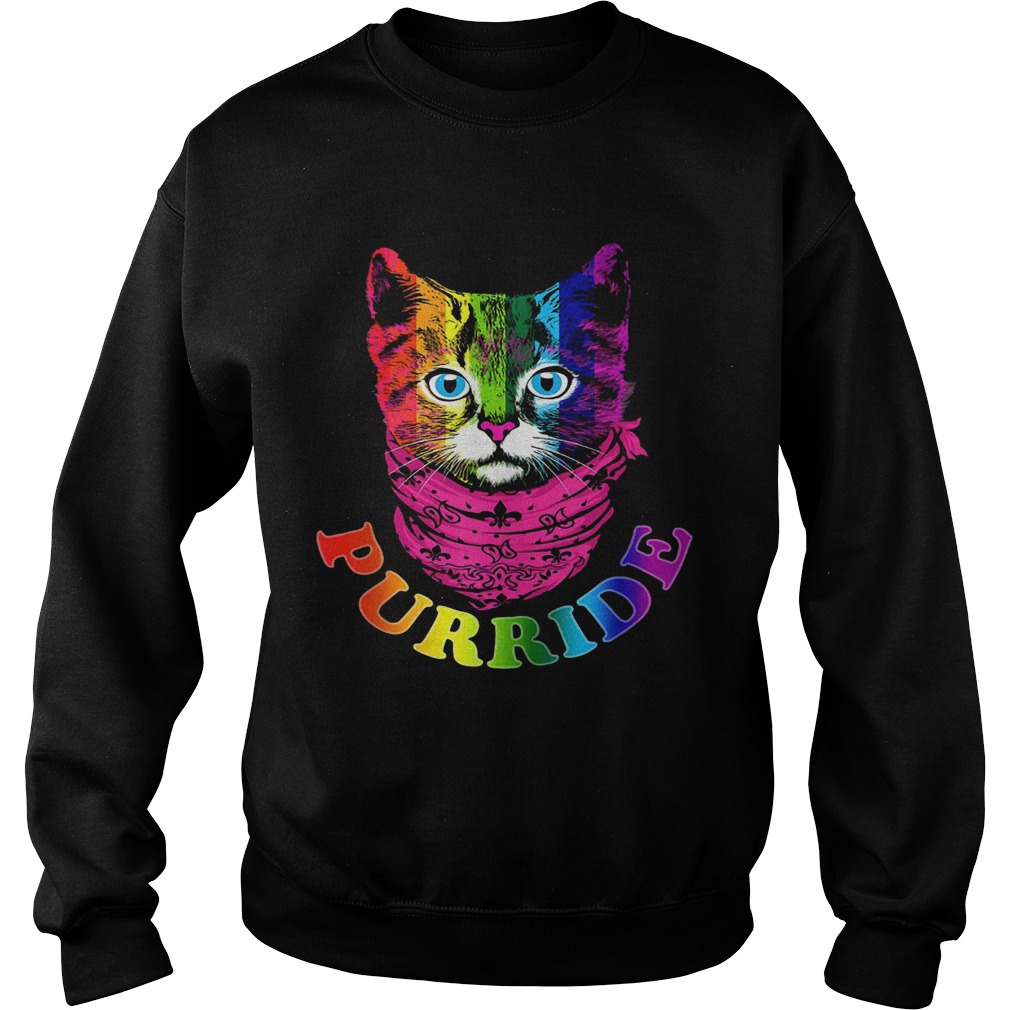 Purride Cat Gay Sweatshirt