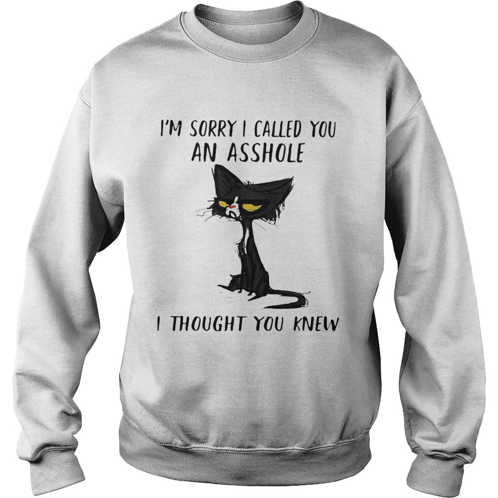 Cat Im sorry I called you an asshole I thought you knew Sweatshirt