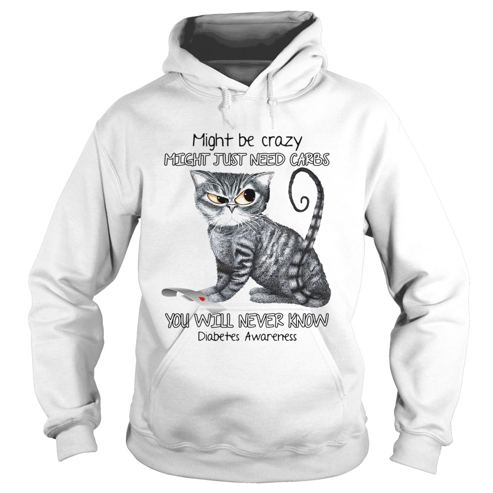 Cat might be crazy might just need carbs you will never know diabetes awareness Hoodie