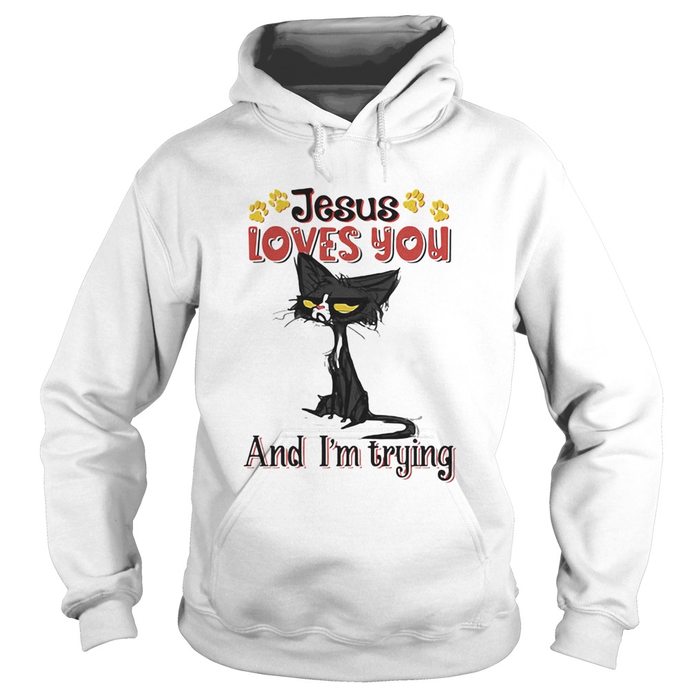 Cat paw jesus loves you and im trying Hoodie