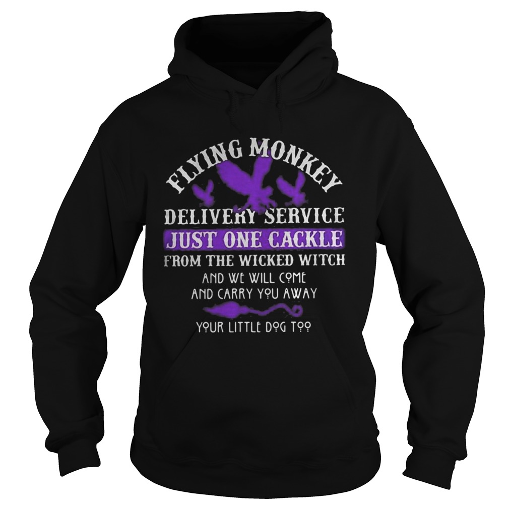 Flying monkey delivery service just one candle for the wicked witch and we will come and carry you Hoodie