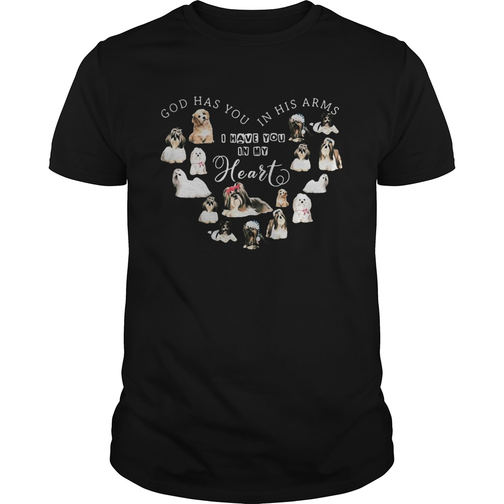 God has you in his arms I have you in my heart dogs shirt