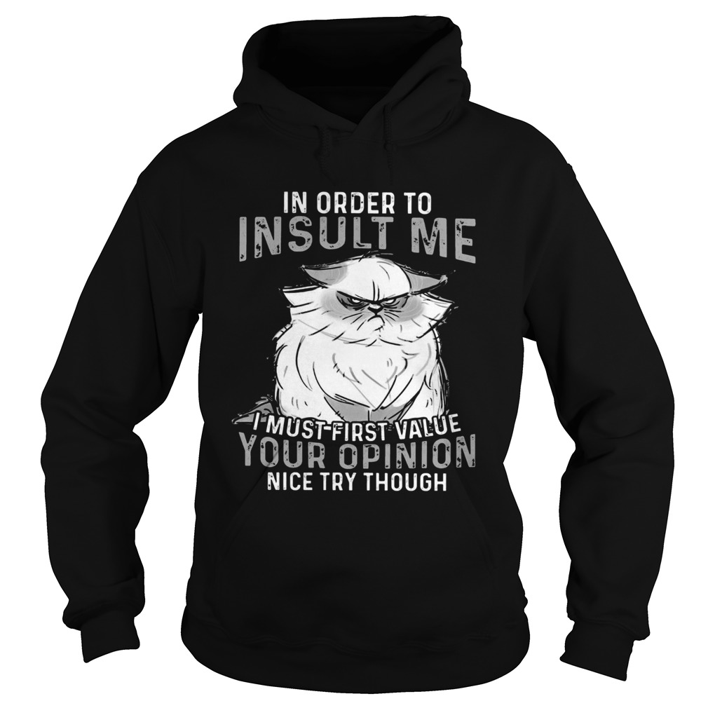 Grumpy Cat In Order To Insult Me I Must First Value Your Opinion Hoodie
