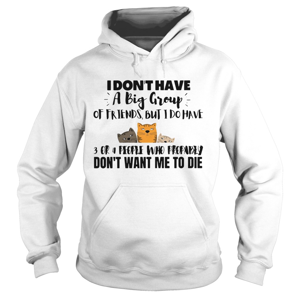 I Dont Have A Big Group Of Friends But I Do Have 3 Or 4 People Hoodie