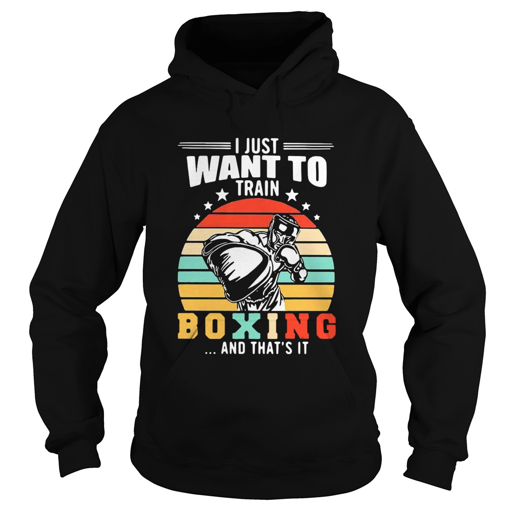 I Just Want To Train Boxing And Thats It Vintage Stars Hoodie