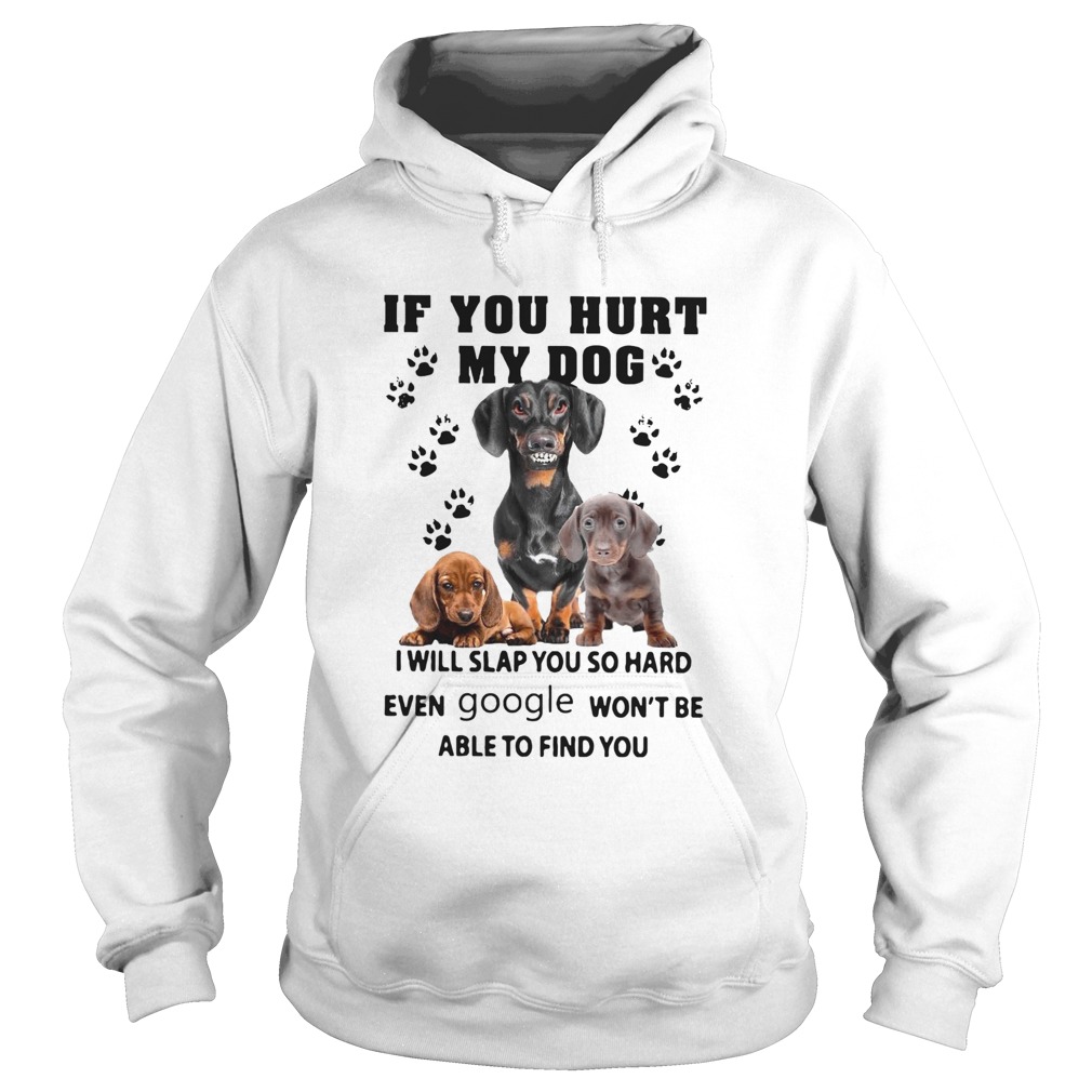 If You Hurt My Dog I Will Slap You So Hard Even Google Wont Be Able To Find You Hoodie