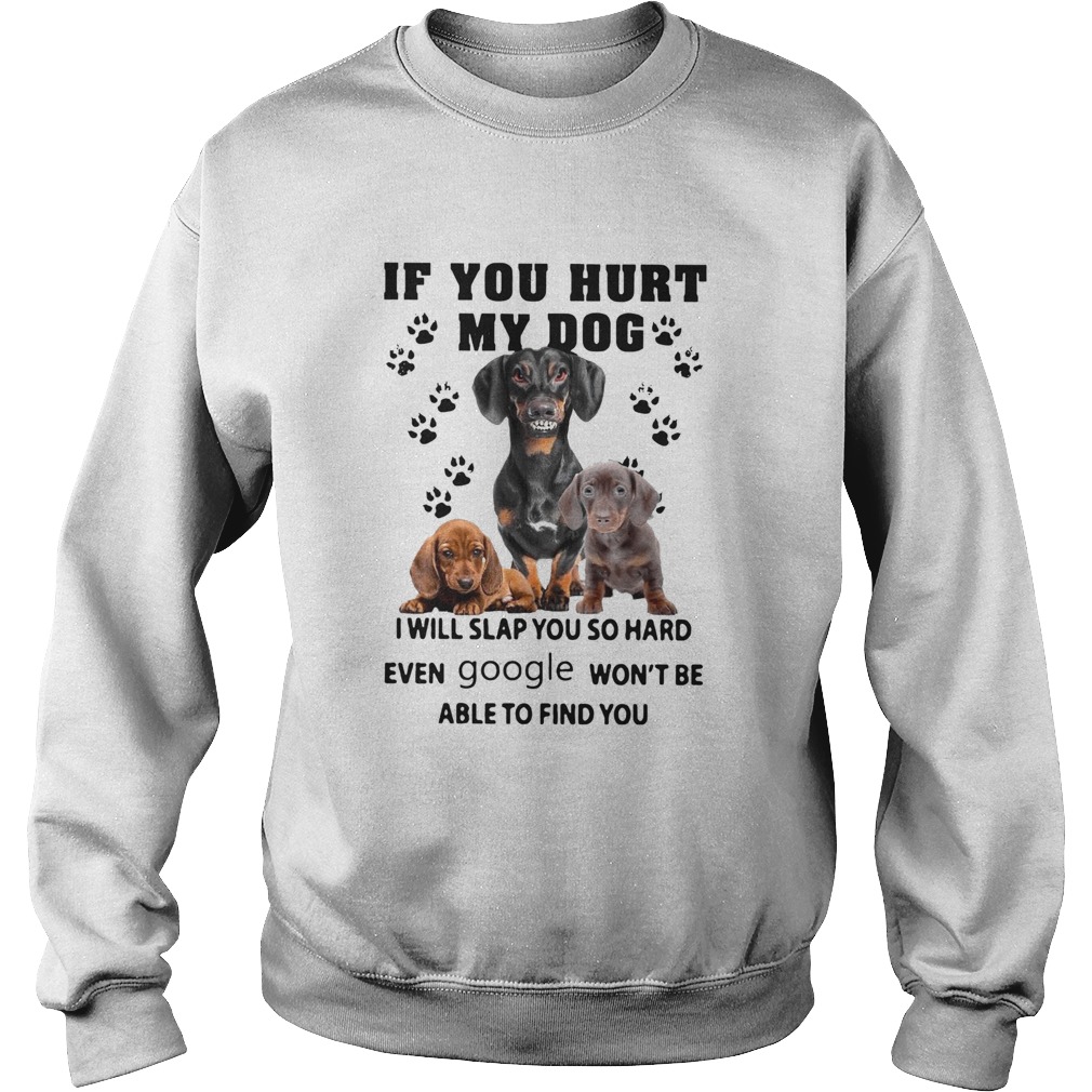If You Hurt My Dog I Will Slap You So Hard Even Google Wont Be Able To Find You Sweatshirt