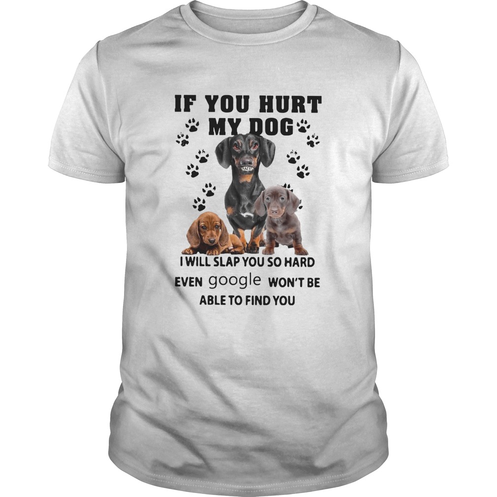 If You Hurt My Dog I Will Slap You So Hard Even Google Wont Be Able To Find You shirt