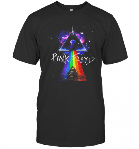 Lgbt Pink Floyd Rowing Night T-Shirt
