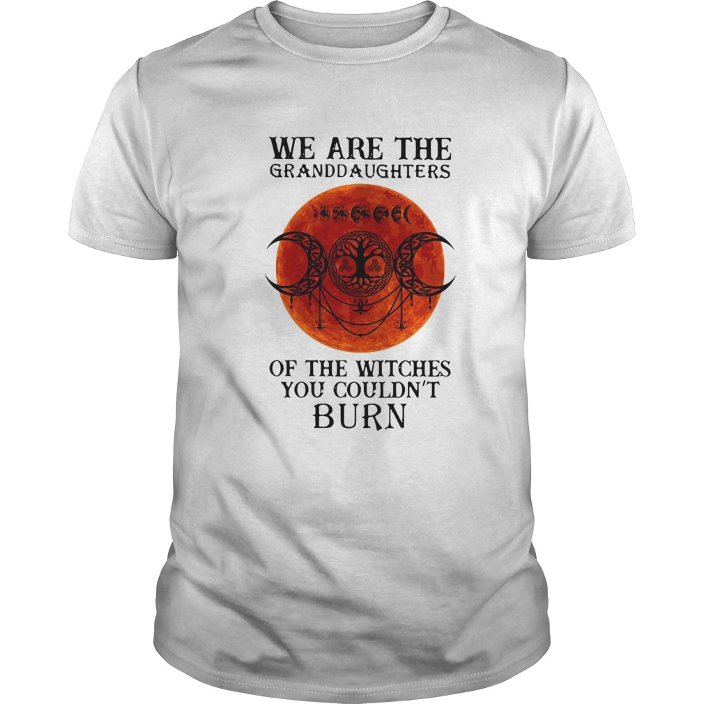 We Are The Granddaughters Of The Witches You Couldnt Burn shirt